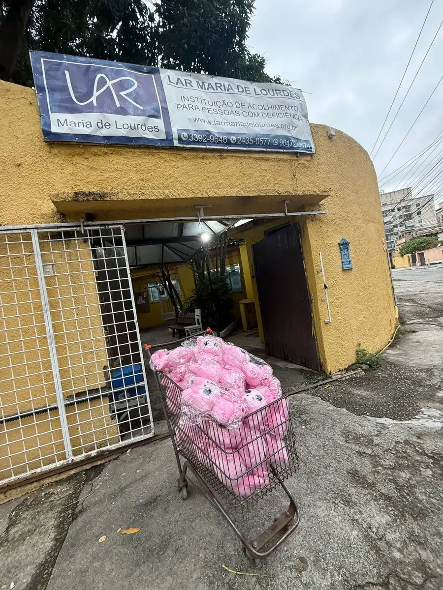 60+ plush cats, plus diapers and hygiene supplies